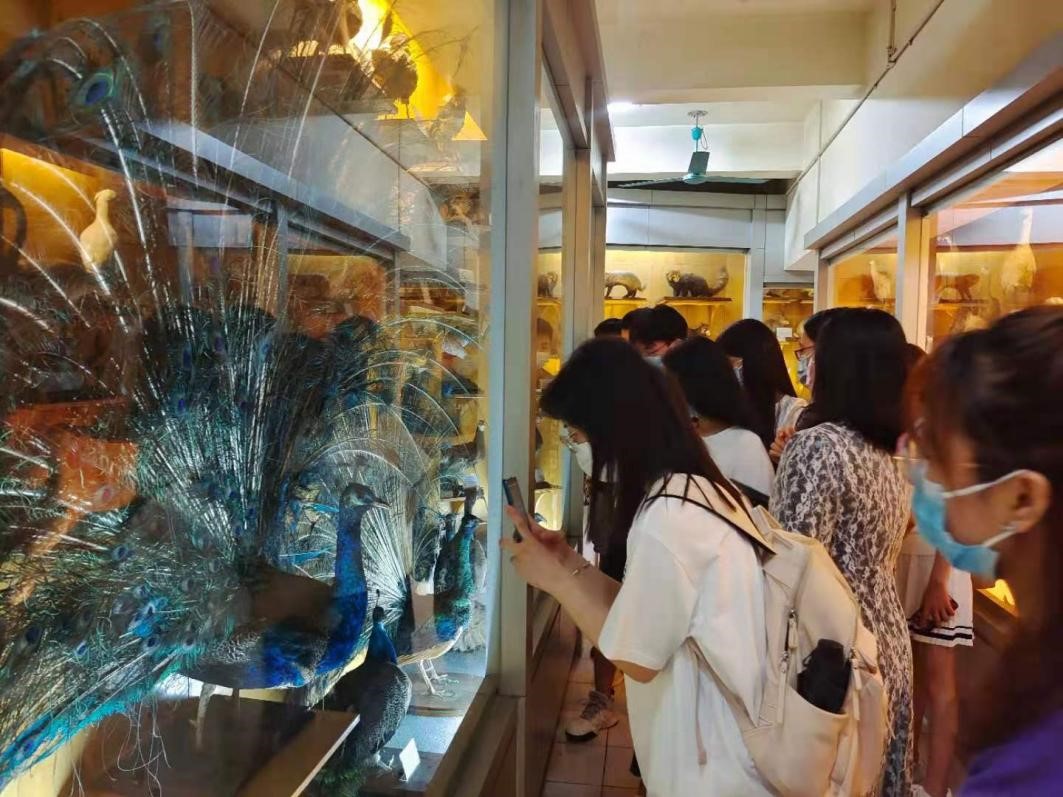 image-20231225150915-5