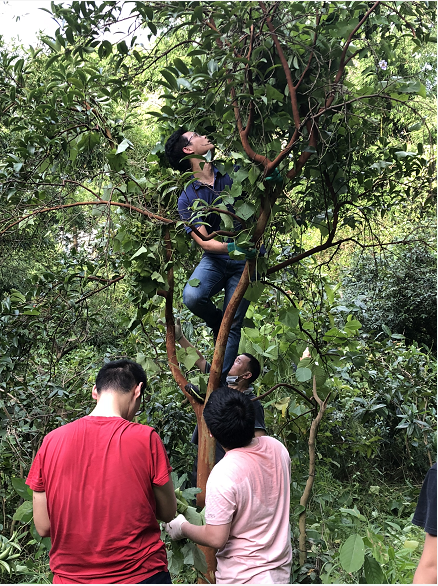 image-20231225152129-8