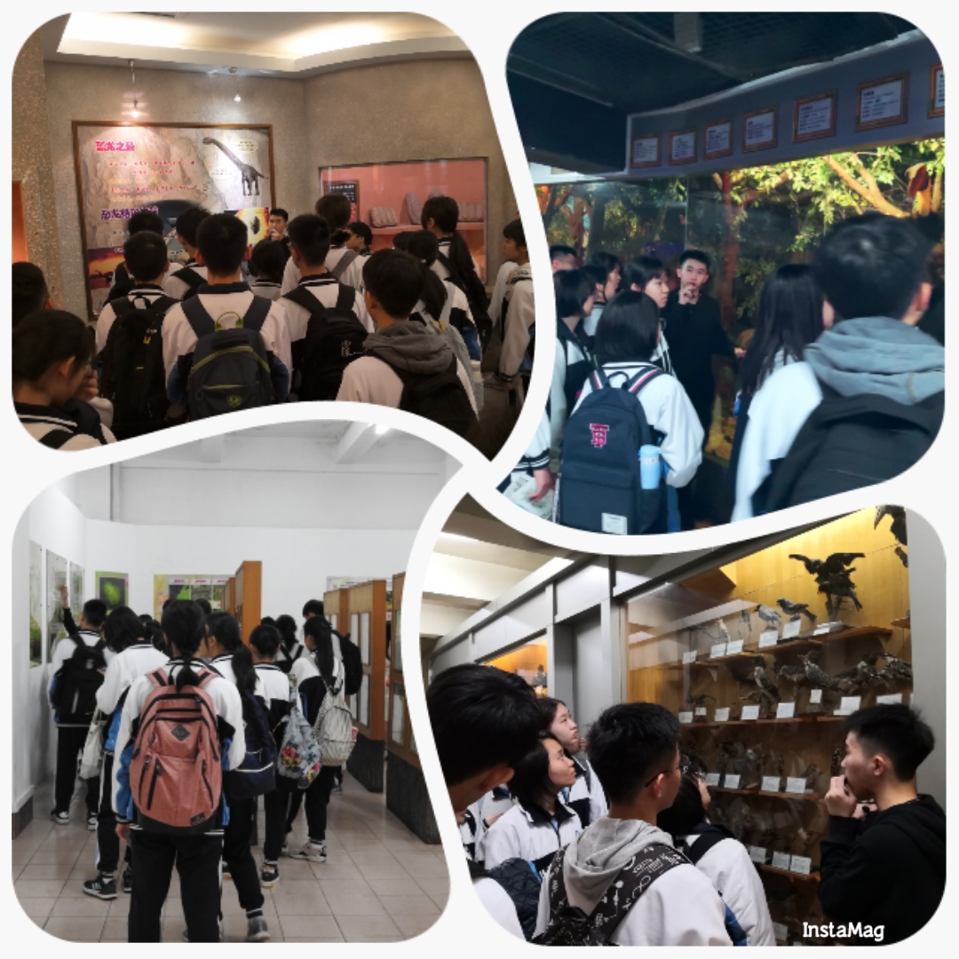 image-20231226151717-1