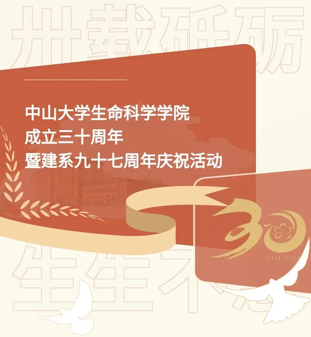 image-20240112234316-1