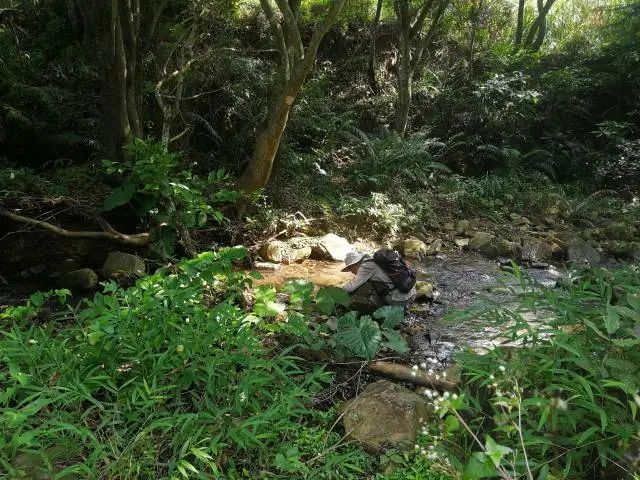 image-20240112234633-7