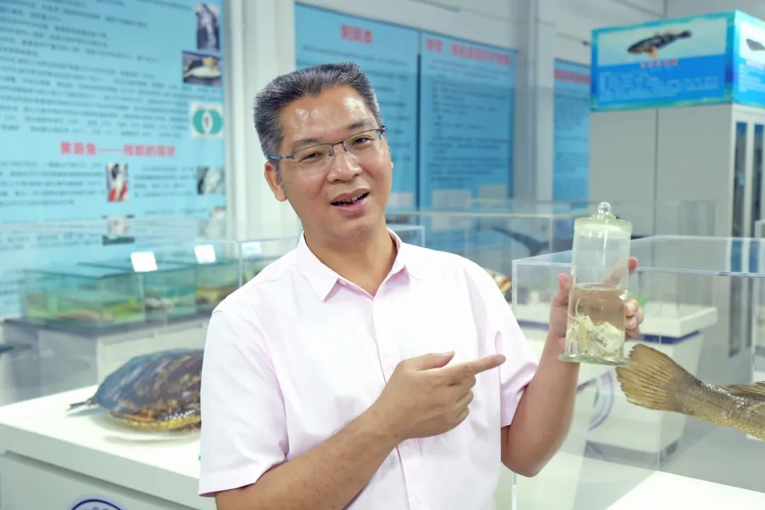 image-20240112235507-4