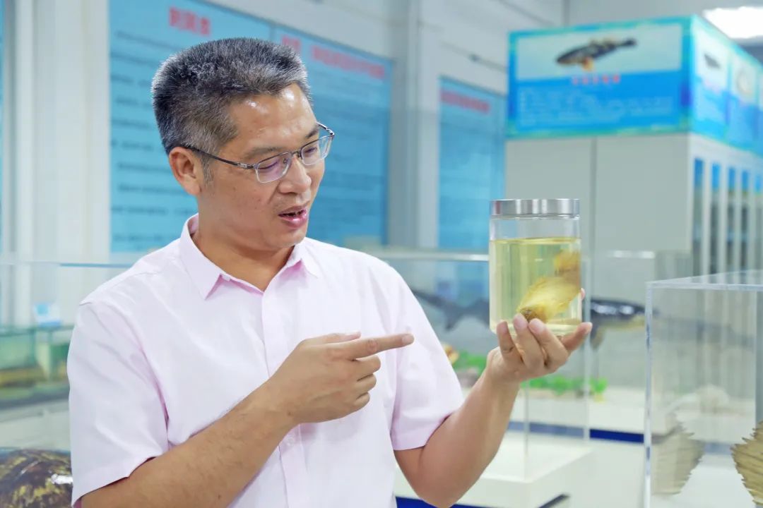 image-20240112235507-6