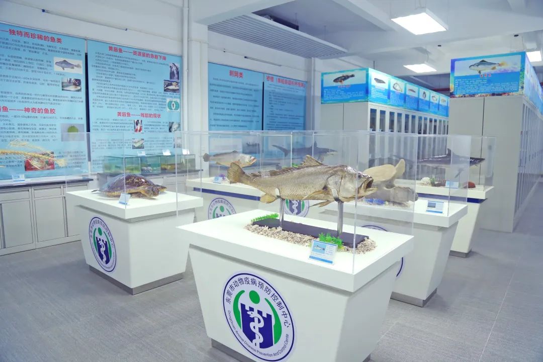 image-20240112235507-7