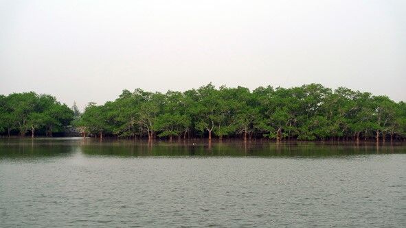 image-20240114145349-1