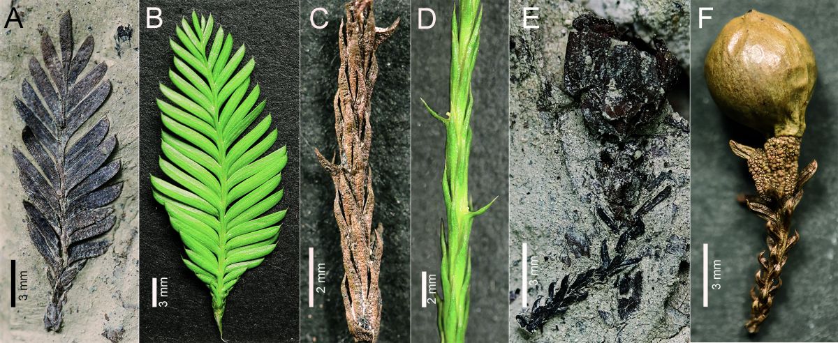 image-20240114213739-2