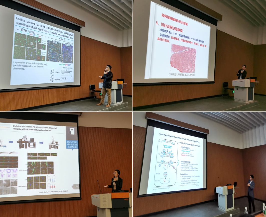 image-20240115144000-2