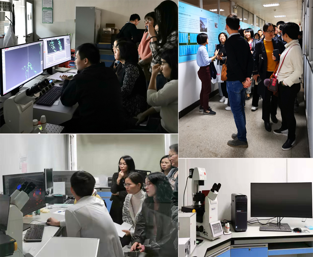 image-20240115144000-3