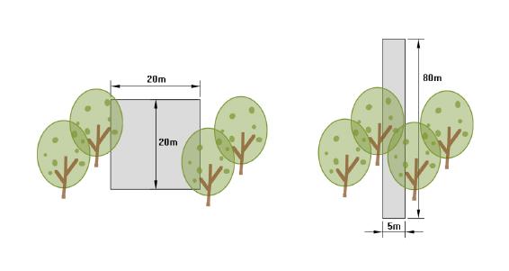 image-20240115144944-1