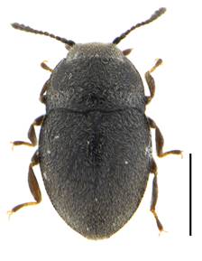 image-20240115160606-1