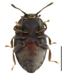 image-20240115160606-2