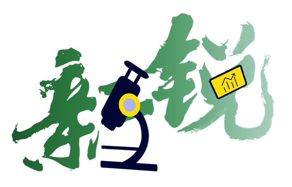 image-20240115162501-1