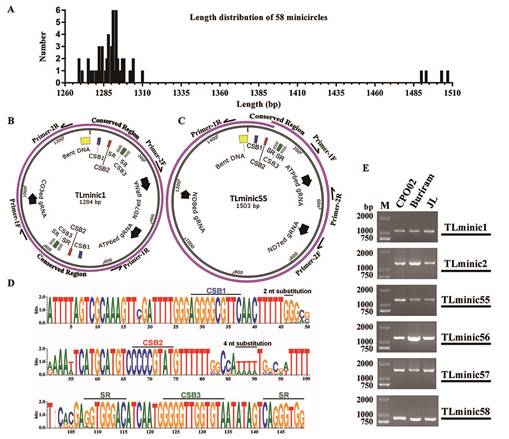 image-20240115171038-1