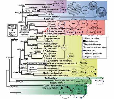 image-20240115171038-2