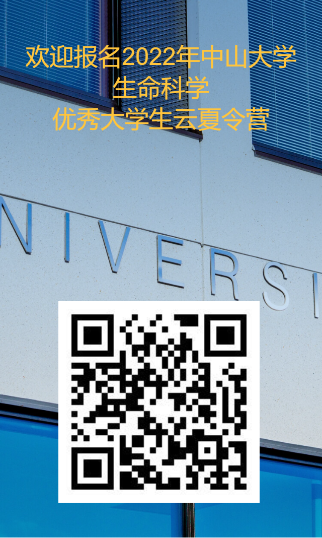 image-20240117164649-1