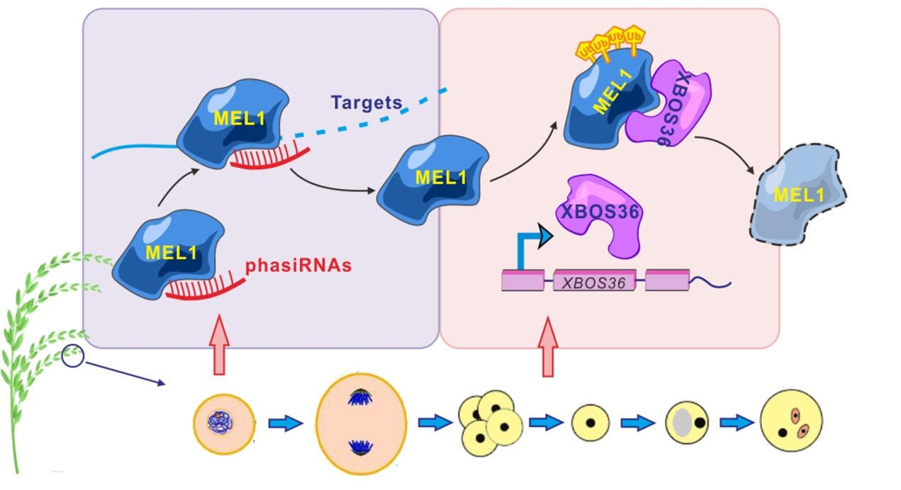 image-20240127230807-1