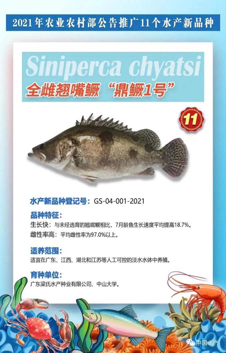 image-20240127235639-1