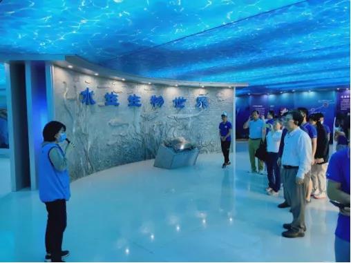 image-20240128000019-7