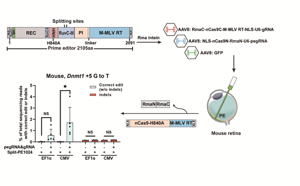 image-20240128000109-1