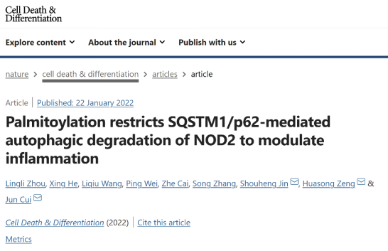 image-20240128235332-1