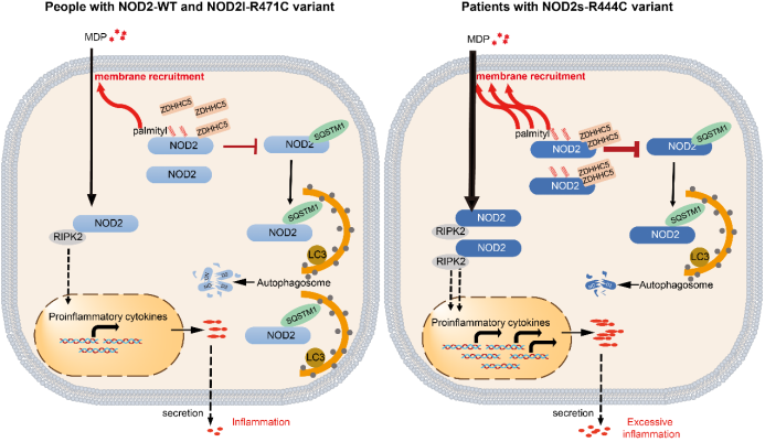 image-20240128235332-2