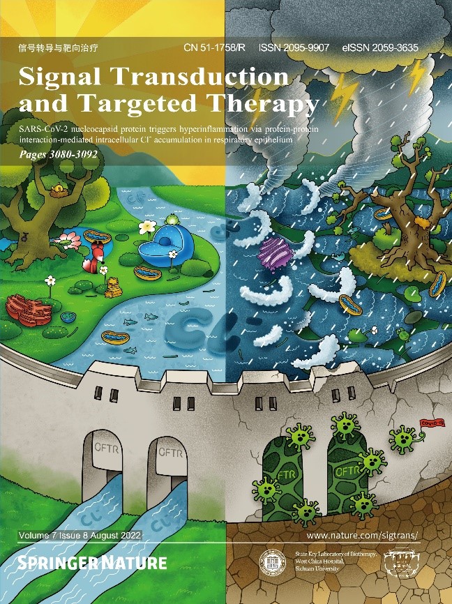 image-20240129234324-1