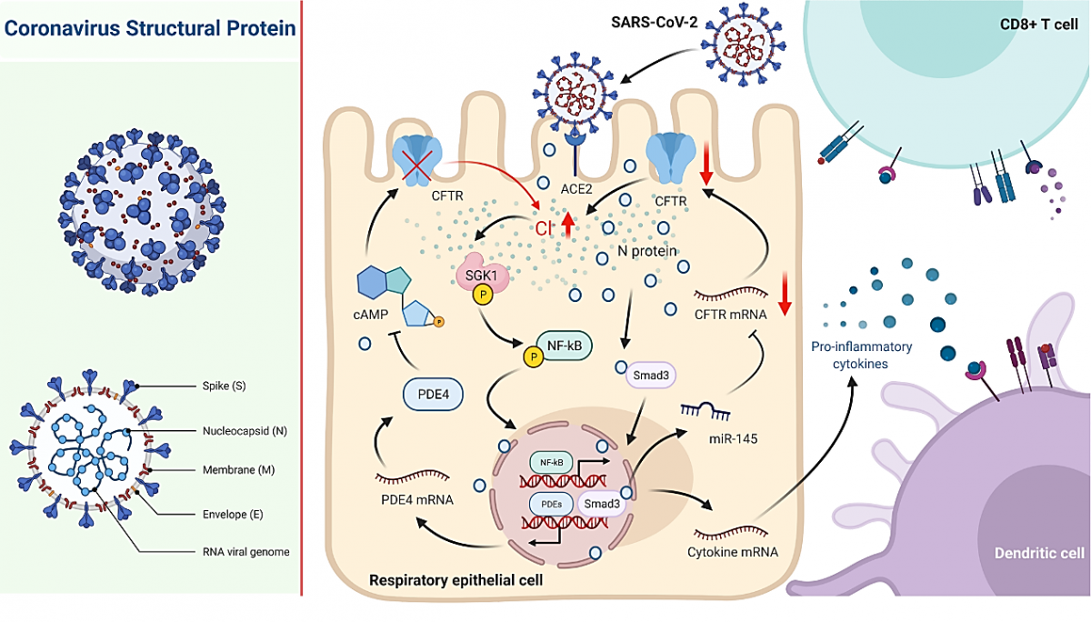 image-20240129234324-2