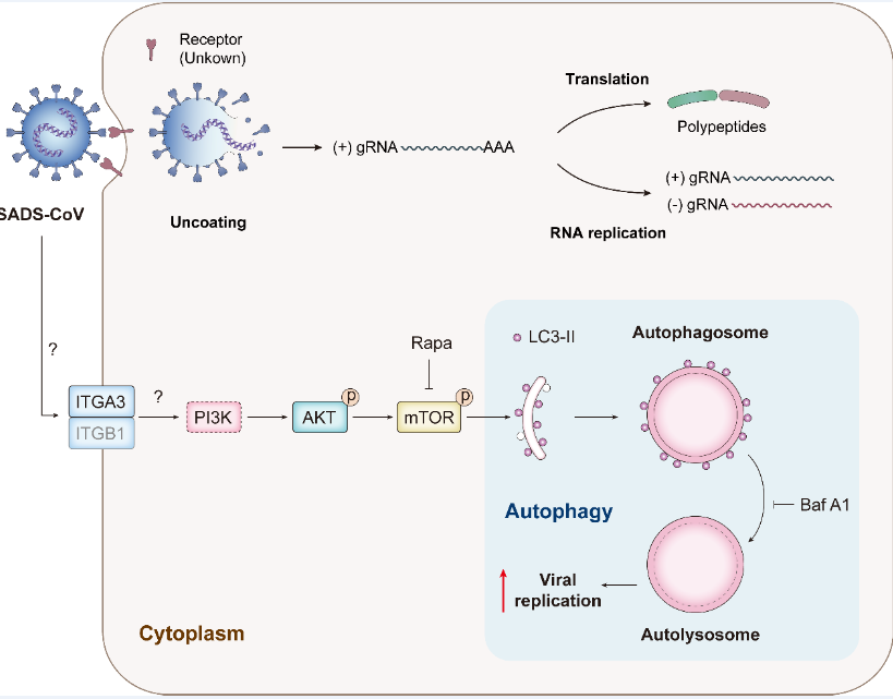 image-20240129234606-1