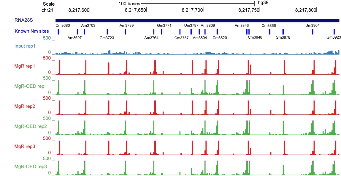 image-20240129234755-2