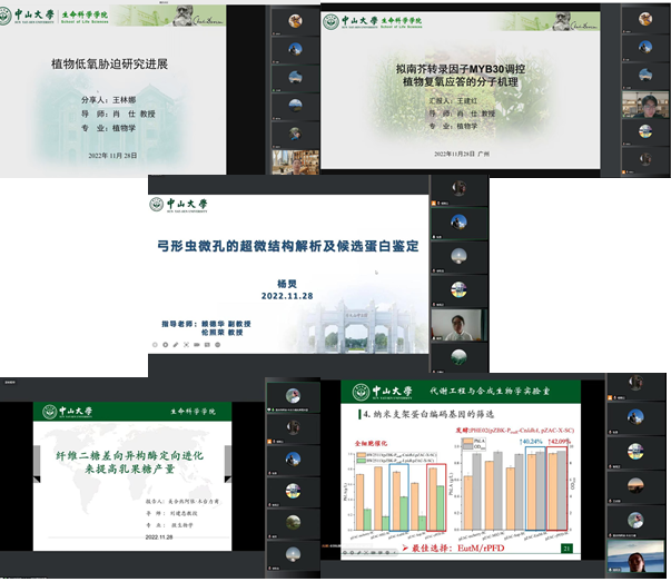 image-20240129235104-5