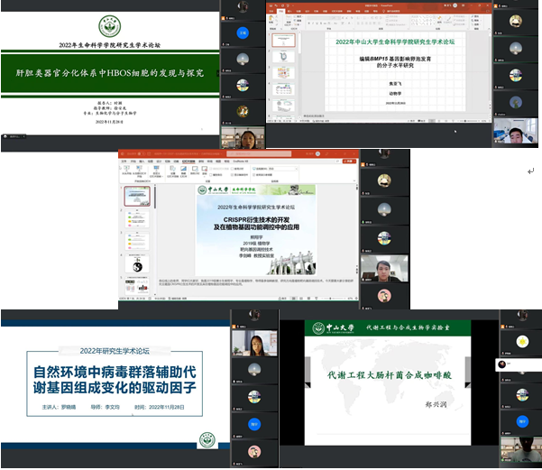 image-20240129235104-7