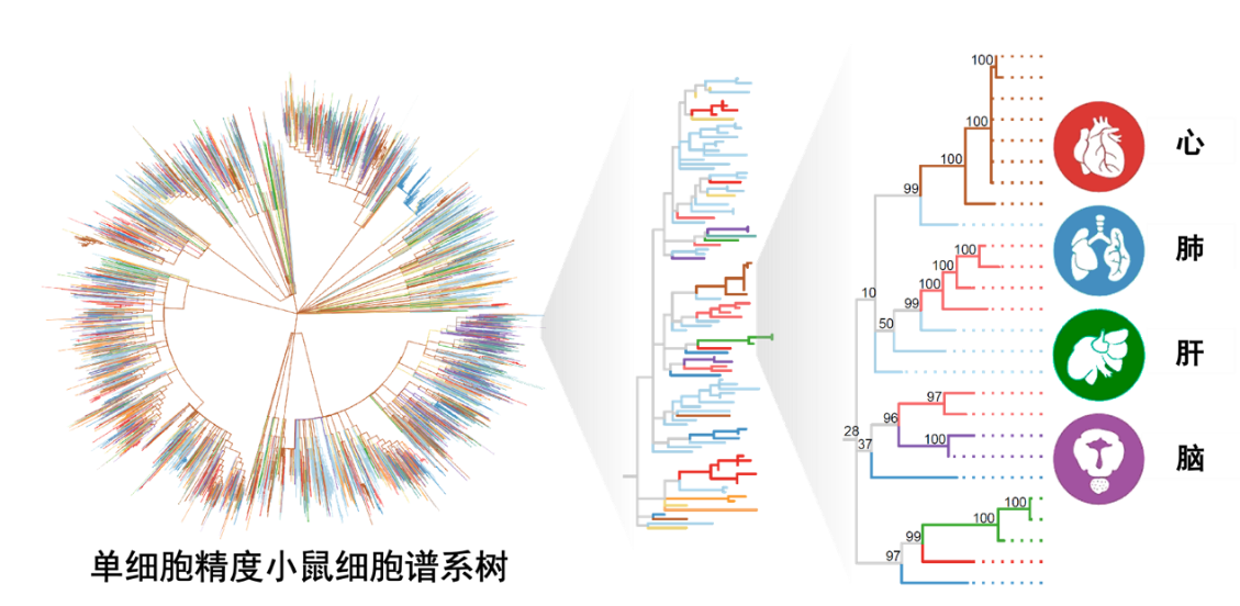 image-20240129235518-4