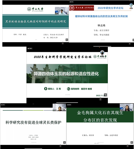 image-20240129235938-3