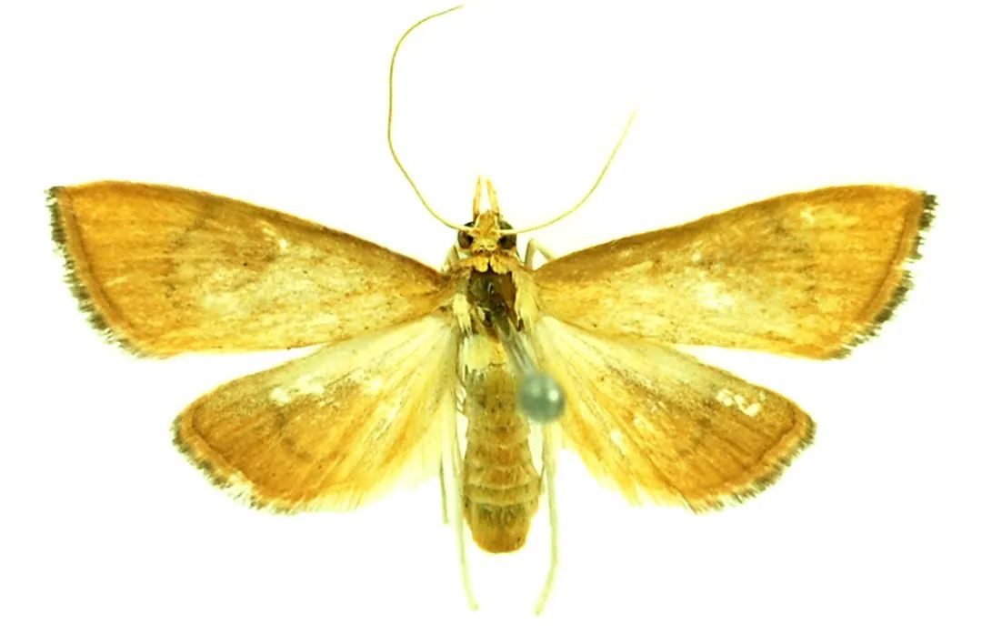 image-20240131172037-5
