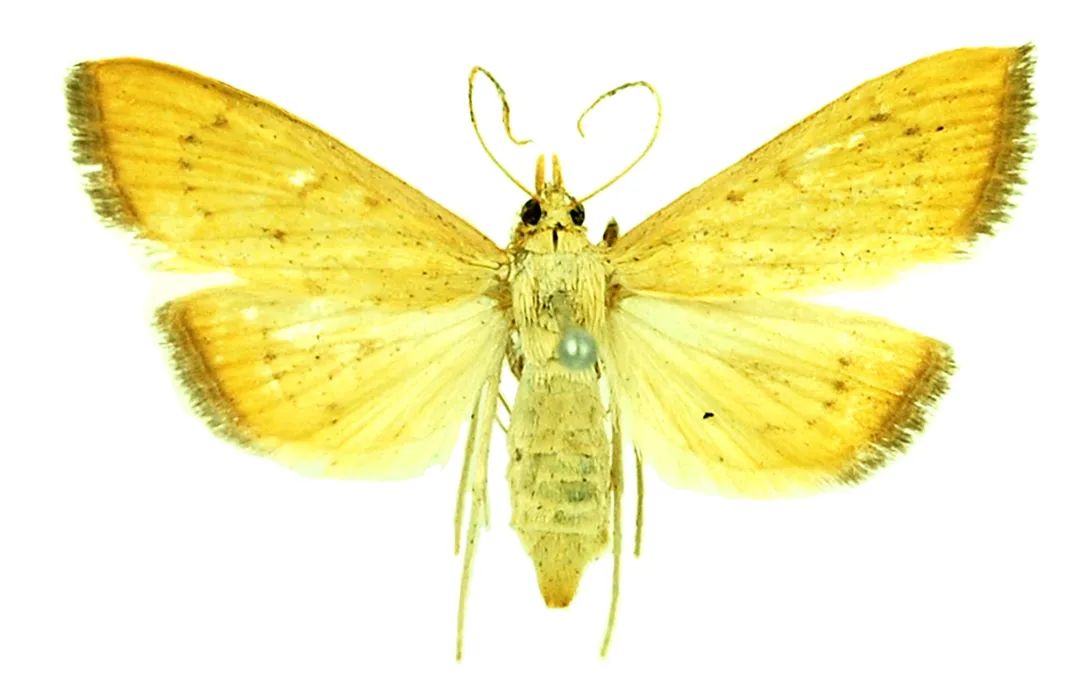 image-20240131172037-6