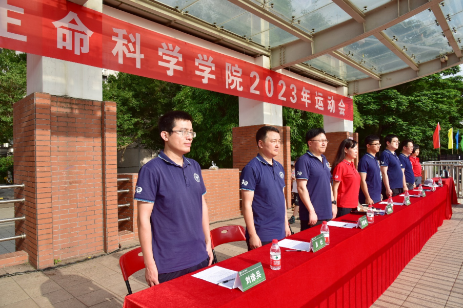 image-20240201201554-1