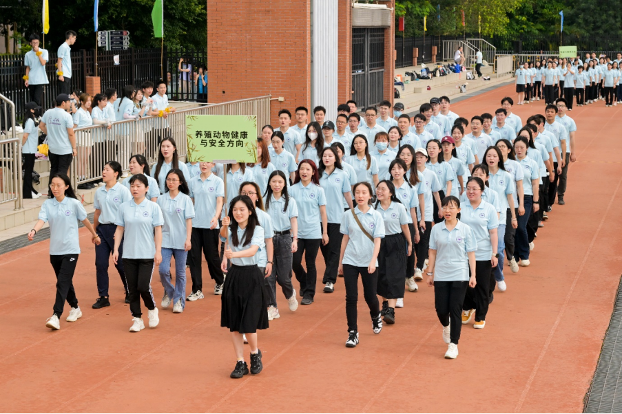 image-20240201201554-11