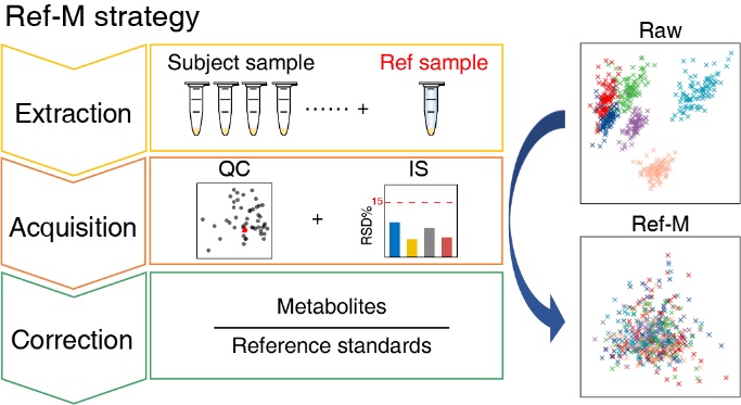 image-20240201202522-1