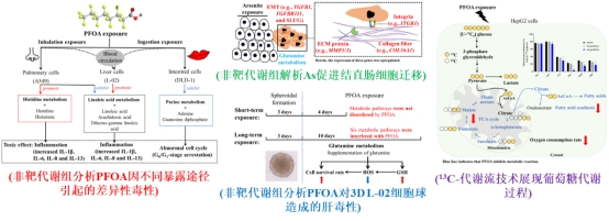 image-20240201202522-3