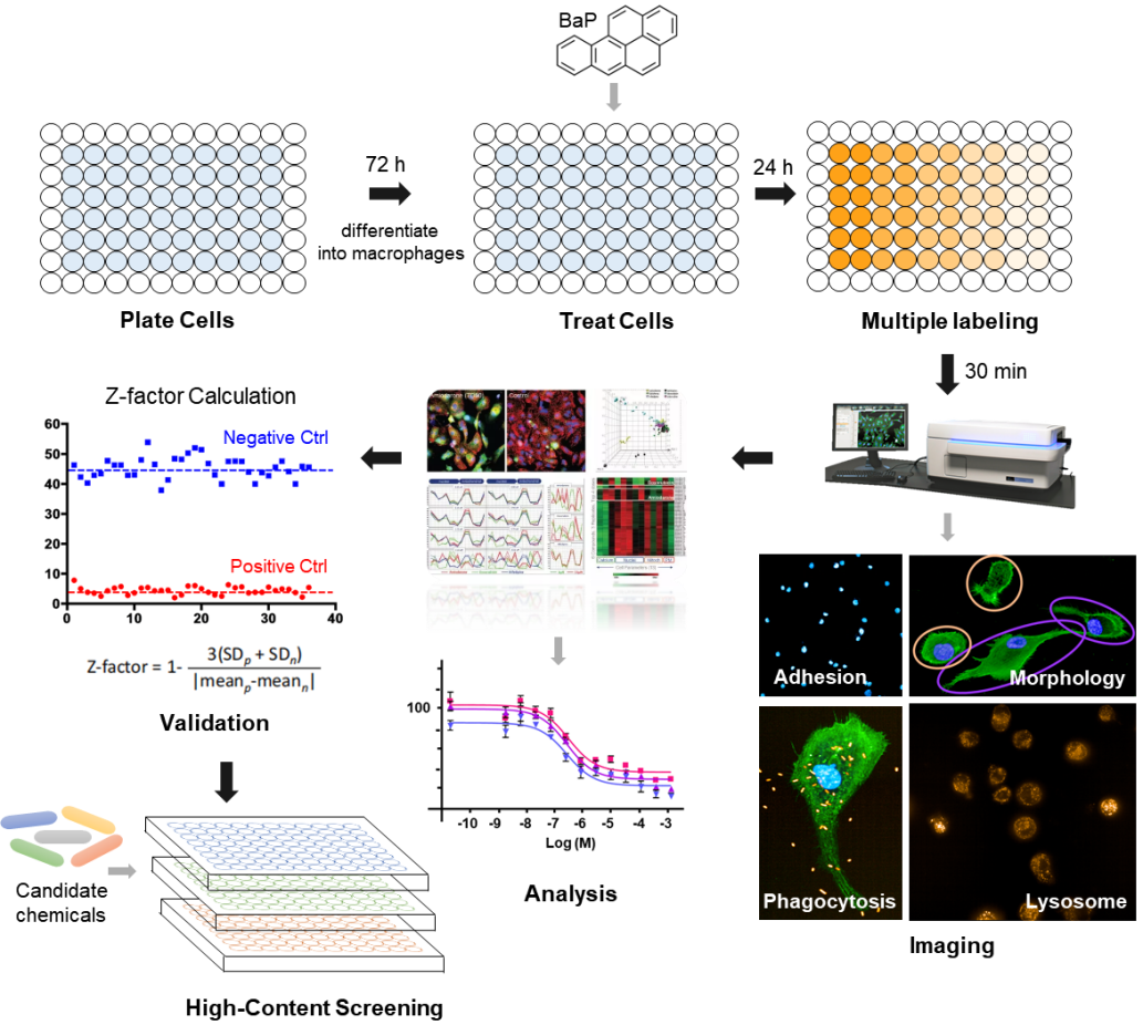 image-20240201202522-4