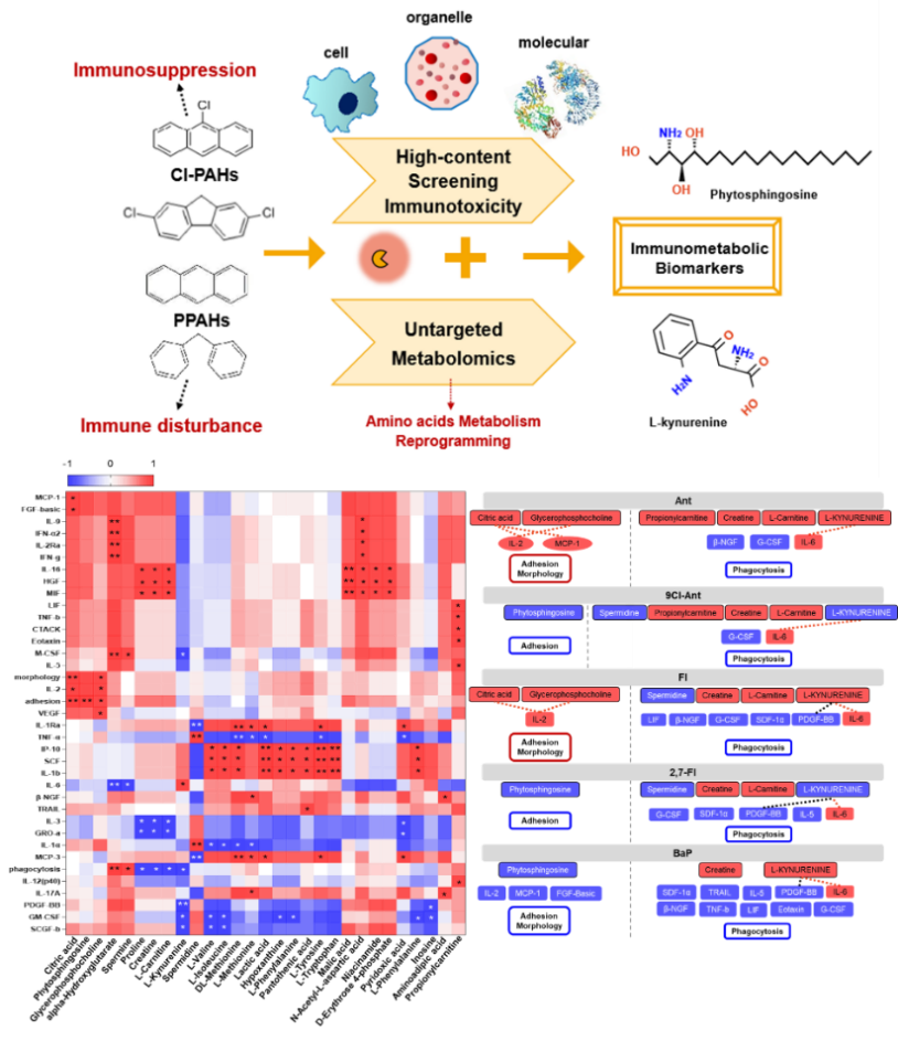 image-20240201202522-5