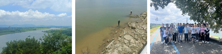 image-20240201203207-1