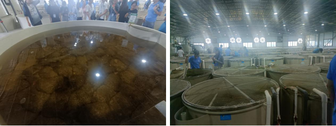 image-20240201203207-2