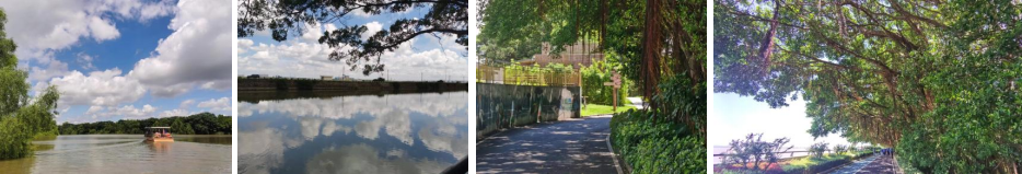 image-20240201203207-5