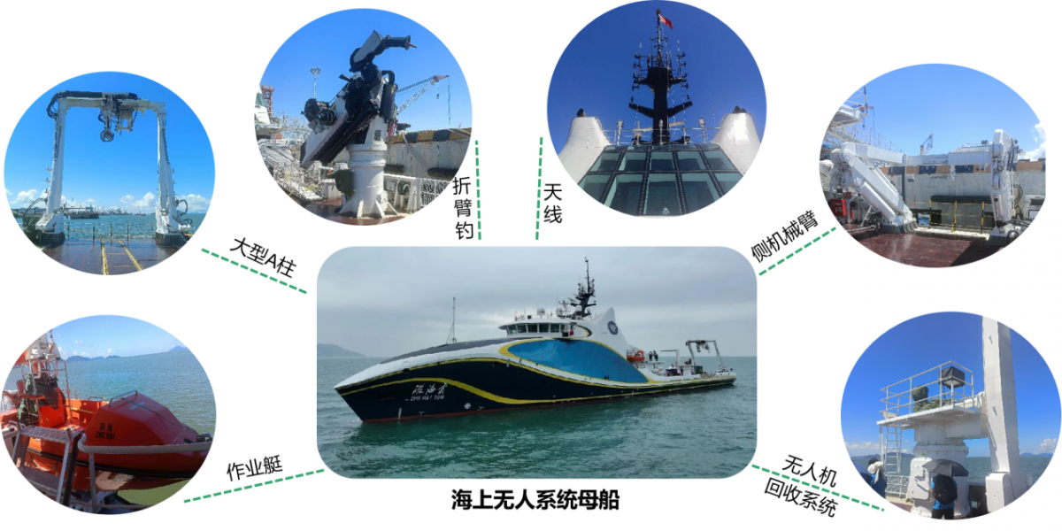 image-20240201203207-6