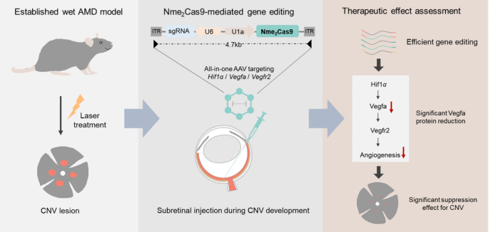 image-20240201205405-1