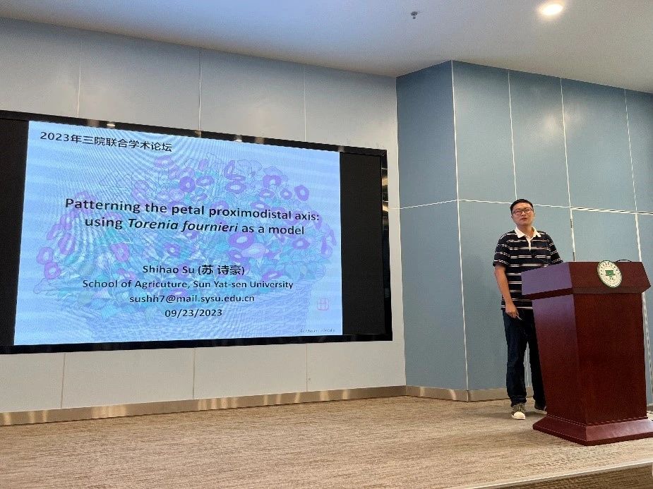 image-20240202161316-10