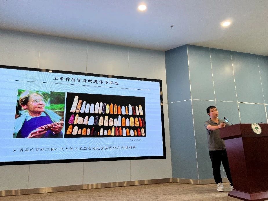 image-20240202161316-11