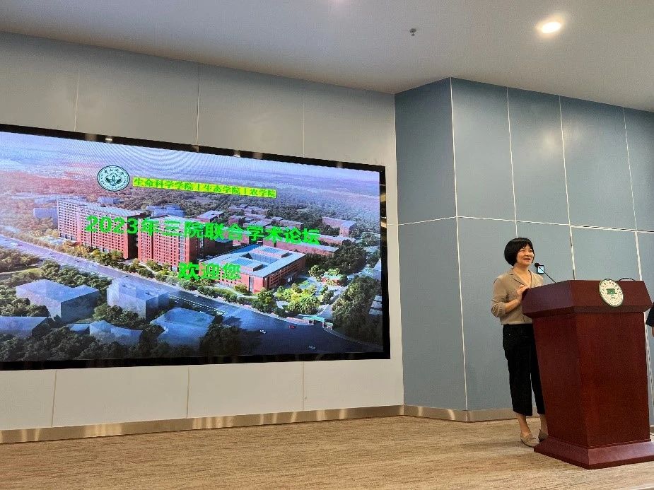 image-20240202161316-15