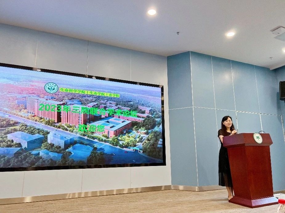 image-20240202161316-2